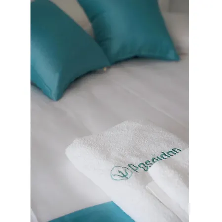 Poseidon Complex 아파트호텔 팔레오카스트리차